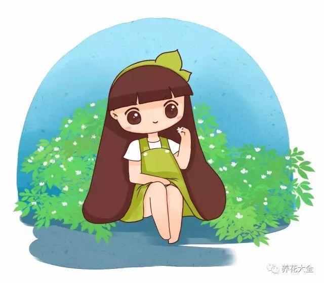 这8种花, 1盆顶个百宝箱, 夏天不养亏大了!