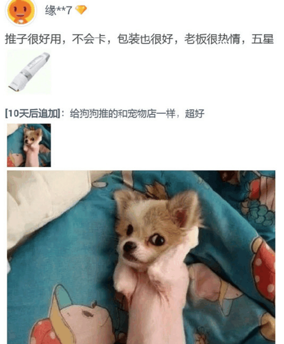 ?汪星人, 你到底有多讨厌洗澡?