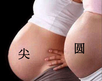 孕妇尖肚子和圆肚子和生男生女没有一点关系