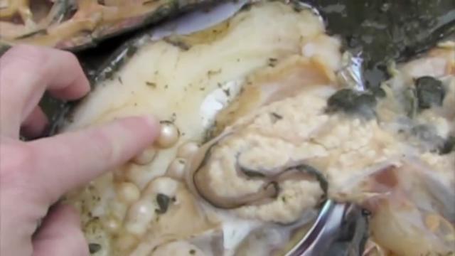 女子海边散步捡到大贝壳, 打开一看, 却是让她喜出望外