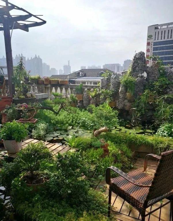 不惑之年, 他自己动手建楼顶花园, 养花种菜喂鱼