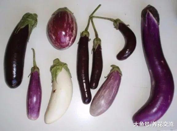 10种非常适合栽种在院子里的盆栽蔬菜, 还有灿烂迷人的花朵