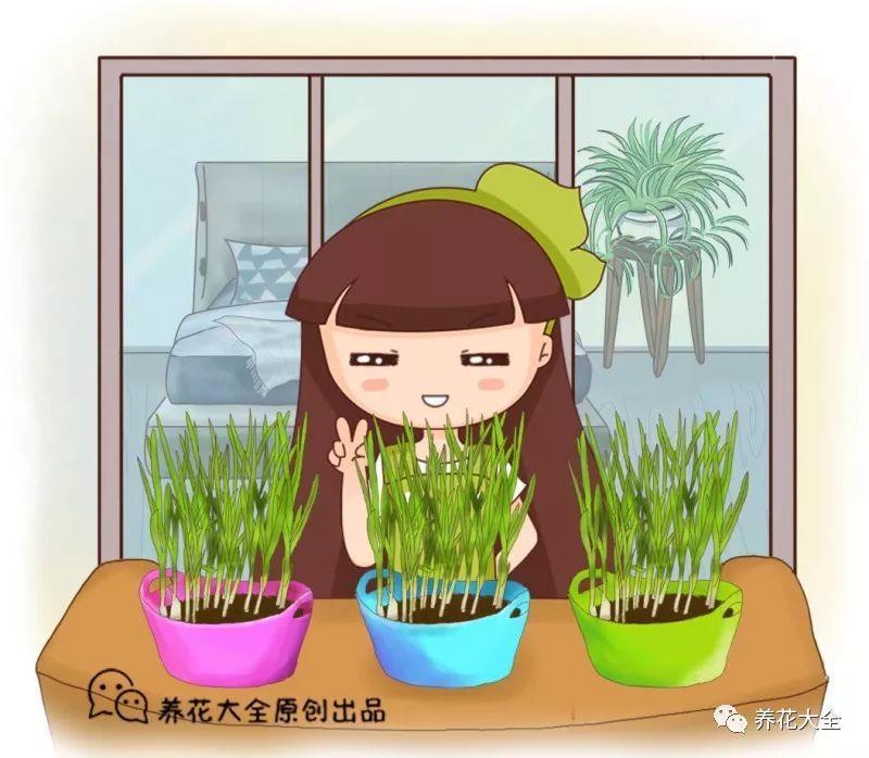 切个西红柿片扔土里, 果子多的压弯枝, 夏天水果蔬菜不用买!