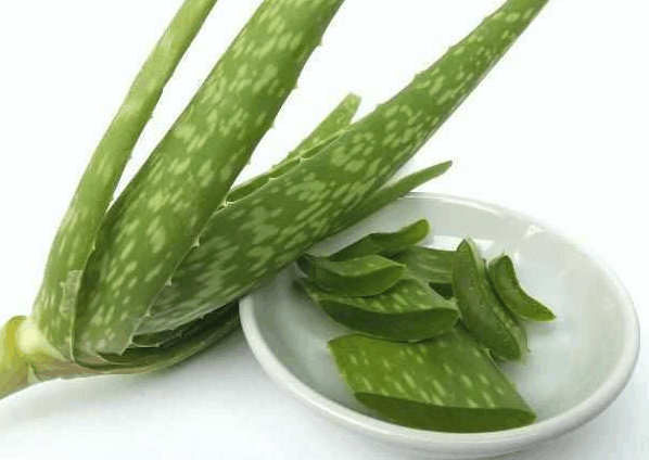 这植物, 家家都喜欢种, 但很少有人知道, 它是降压、降糖的良药!