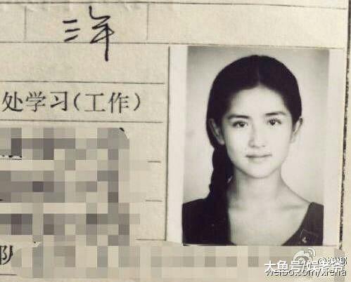 谢娜讲述自己被潜规则, 结果网友的评论恶心了!