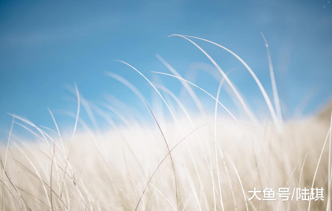 慢一点再牵手拥抱, 慢一点再相爱到老