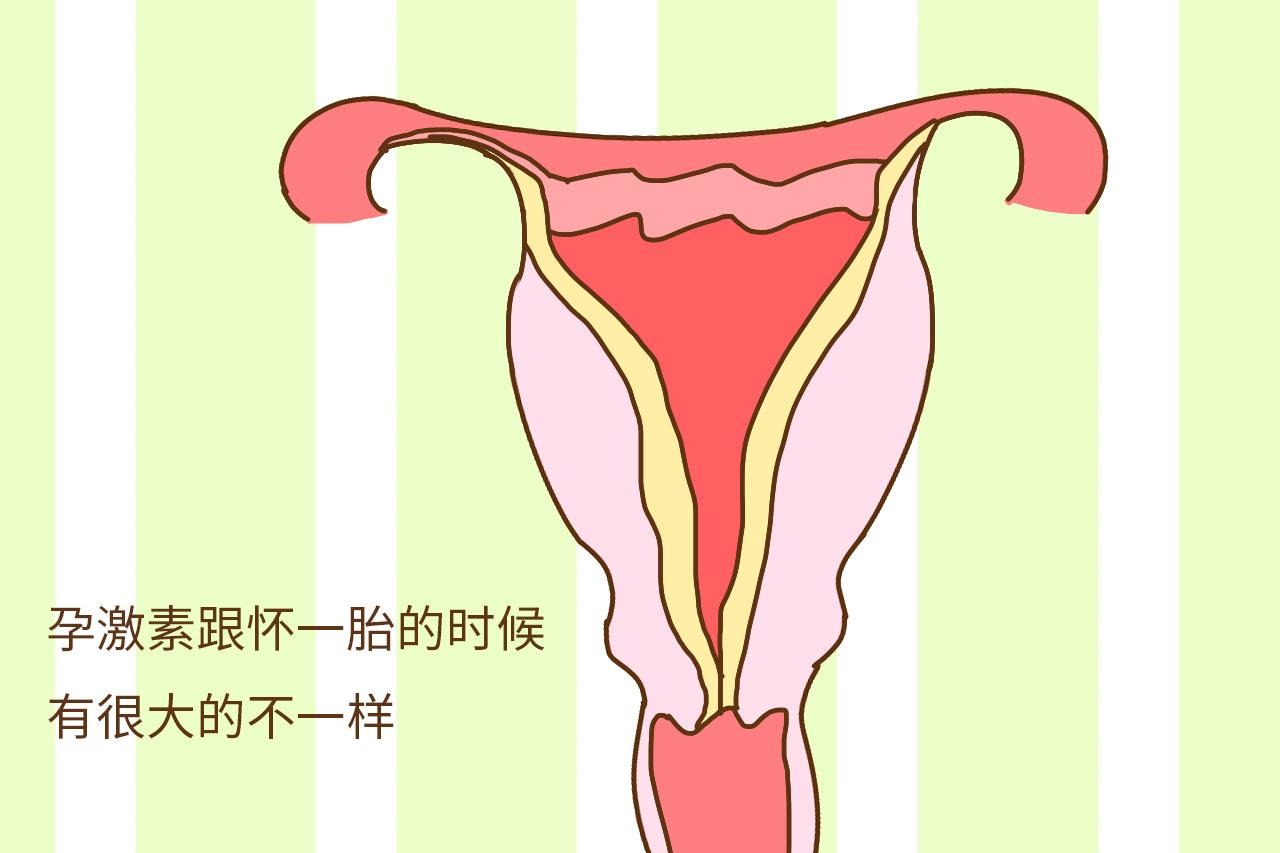 二胎妊娠反应和一胎的不同, 意味着性别也不一样?