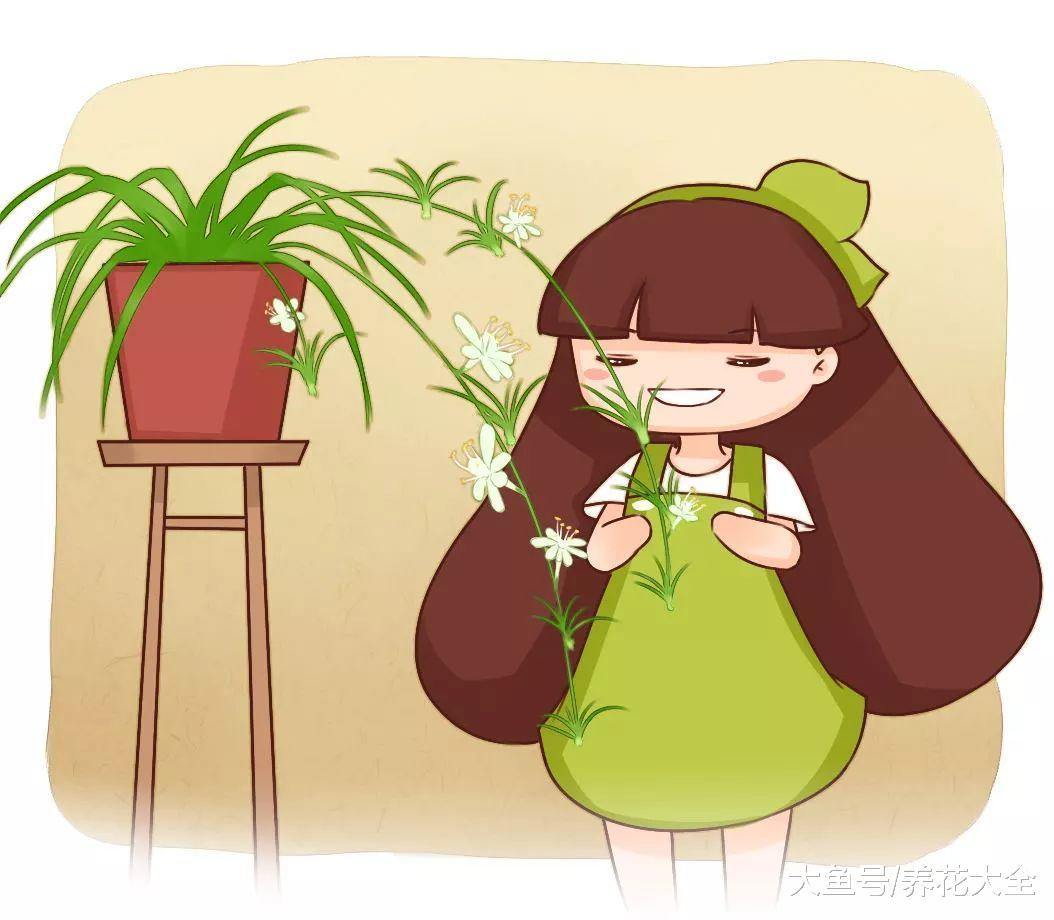 盆里加点它, 花像吃了激素, 蹭蹭狂长爆盆!