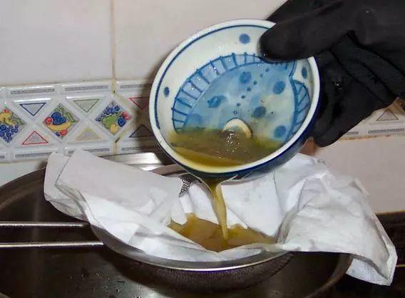 倒出来的废油, 君子兰盆里放一点, 叶子绿得像打了蜡!