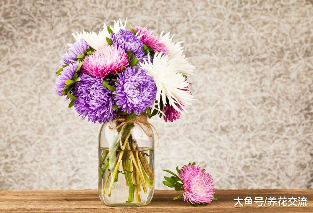 养花瓶里的切花可以保鲜很久, 老园丁都会用上这些技巧