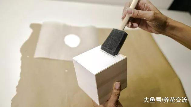 废弃的木头和铜丝自己DIY盆栽, 可以很轻松养好空气凤梨