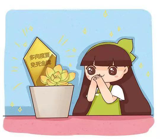 多肉度夏神器, 几根铁丝就搞定, 连花盆都省了!