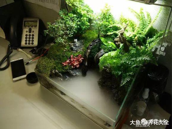 把花塞进玻璃瓶, 叶子变得油绿发亮, 就是一个小花园!