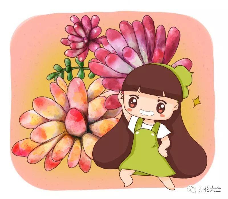 长得像熊爪的多肉, 夏天这样养, 叶子不掉胖乎乎!