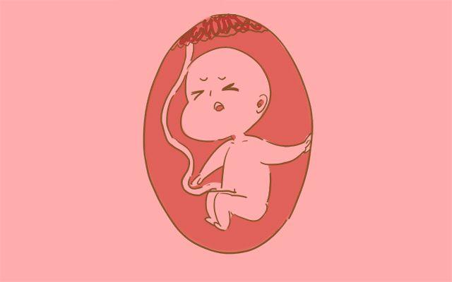 怀胎十月, 胎宝会安静地呆在肚子里生长? 他可没你想象中单纯