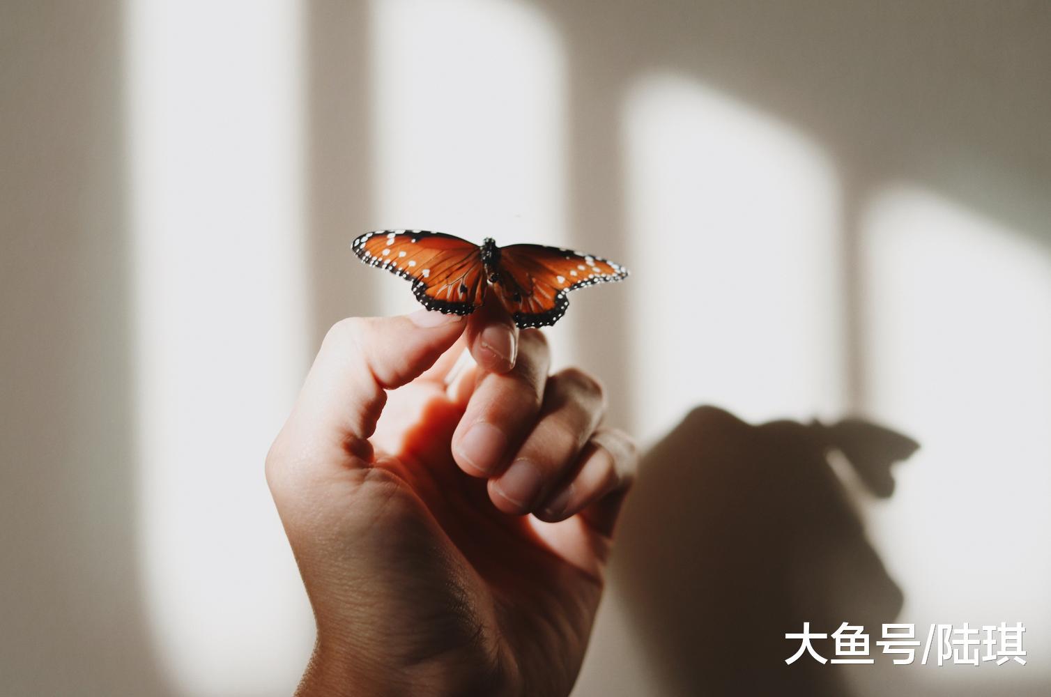女人对另一半“高要求”, 婚姻才会过得高级