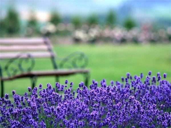 那一刻你就会明白, 遇到了这十句话是对的