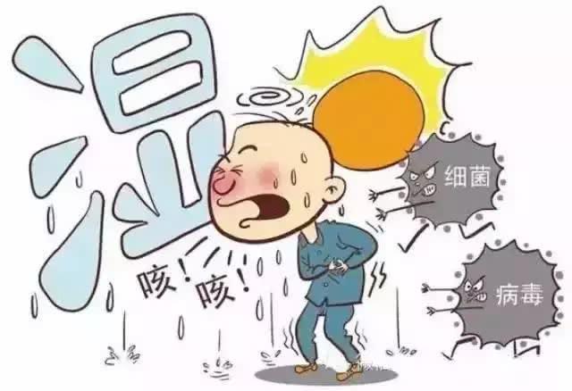 湿气的“克星”来了! 早晚吃一点, 湿气排干净, 小肚子也下去了