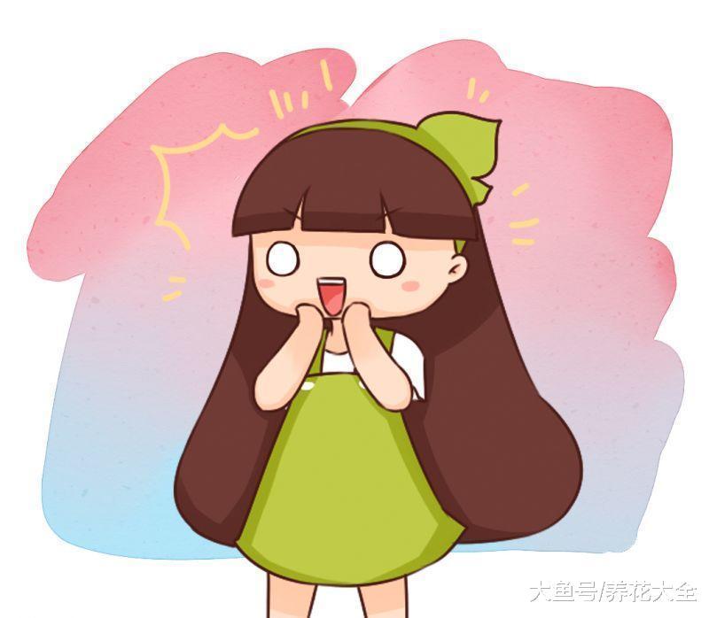 卫生间里放盆这种花, 异味全没了, 还能蹭蹭长不停!