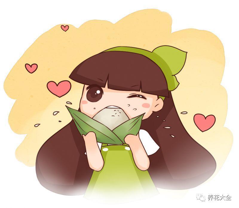 外婆用它包粽子, 满楼飘香, 连吃10天都不腻!