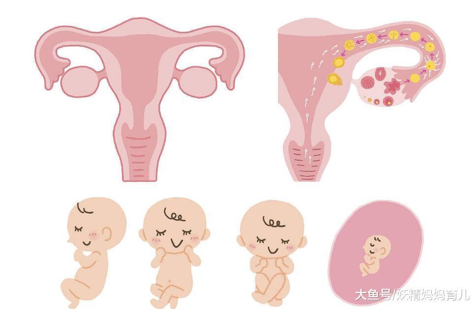 吃了避孕药还是怀孕了, 宝宝是留还是流? 看看大夫怎么说