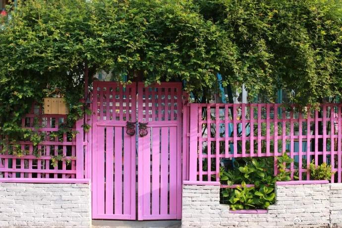 宠妻狂魔, 为妻子打造梦幻花园, 果然是别人家的老公!