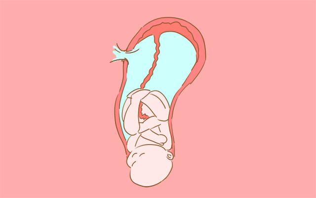 宝宝刚出生时为什么那么丑? 老公: 老婆, 你确定没有整过容?