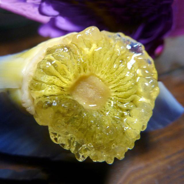 女人25岁后胶原蛋白减少, 多吃这些食物, 皮肤光滑细腻有弹性!