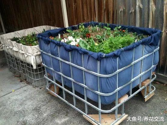 10个可移动的花坛创意, 可以随意搬动的大型盆栽