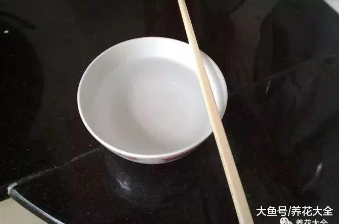 生根剂不用买, 只需2分钟在家就能做, 大白根呼呼长!