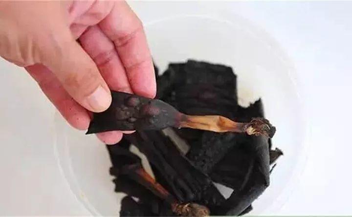 给花埋点“香蕉粉”, 枝条壮实呼呼开花, 养啥花都旺!