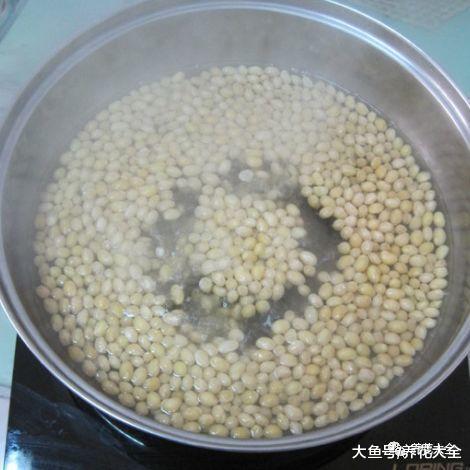 给君子兰加点黄豆, 不仅不黄叶了, 花也越开越多!