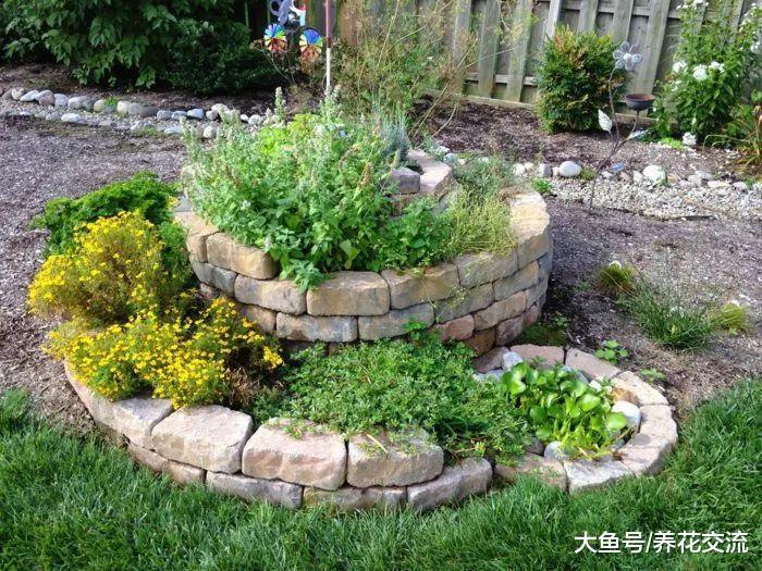 在院子制作螺旋状花塔的8大好处, 成为家里最亮眼的植物景观