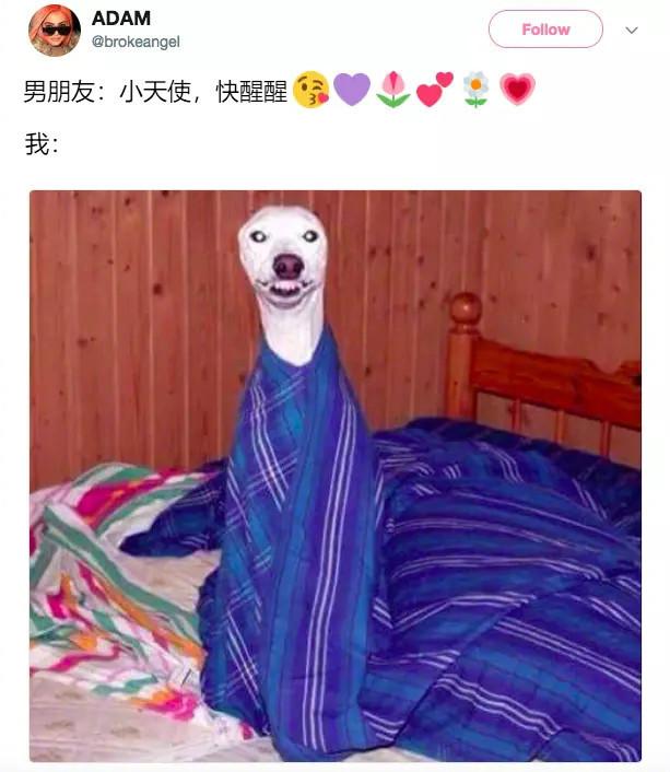 早起使我快乐, 我要每天早起