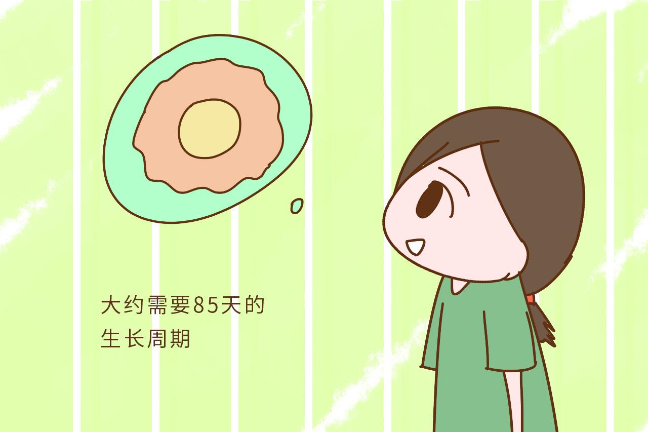 为什么夫妻备孕要提前3个月, 而不是别的时间呢? 原因很重要
