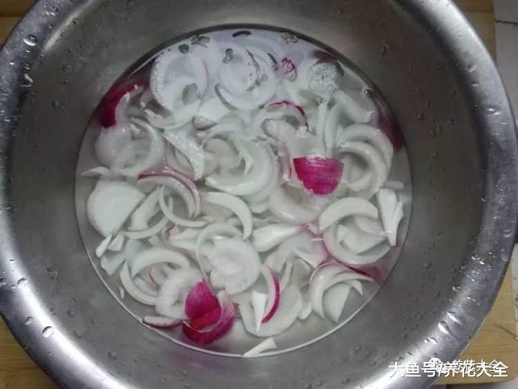 杀虫剂不用买, 水里加点洋葱, 虫子全都死光光!