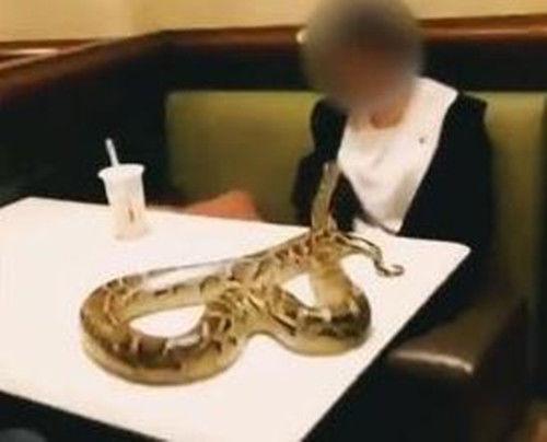 女子去吃饭, 餐厅突然出现一蟒蛇, 老板被吓晕, 结果女子赔了三千