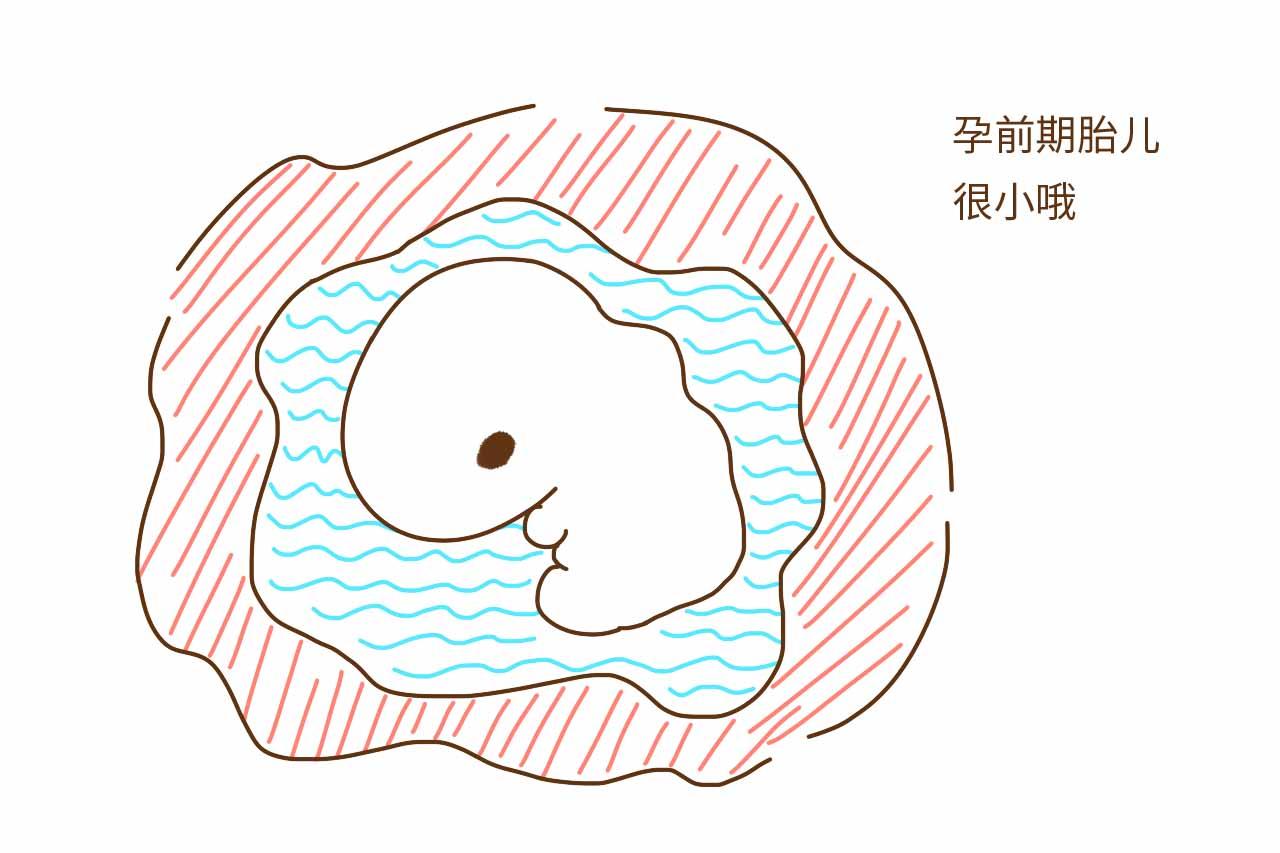 一位妇科医生的心声: 孕妈的这4种行为, 不是养胎是养病, 要改了