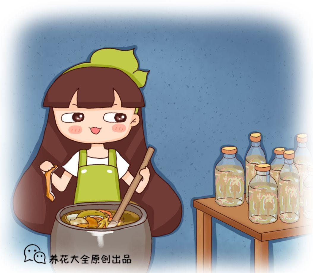 橘子最值钱的就是皮, 绿萝吊兰吃了它, 一气窜2米!