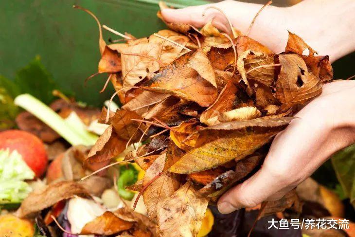 用一个小桶就能自制健康无害的有机堆肥, 废弃垃圾变成实用的肥料