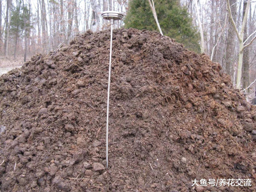 动物的粪便变成促进植物生长的堆肥, 两三个月就能变成健康的肥料