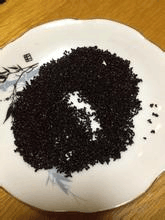 火龙果好吃又好养! 插1根“枝条”在盆里, 收获的“果实”甜又香