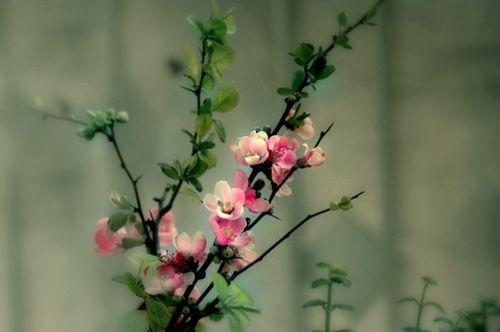 人一旦觉悟, 这十句话就有价值!