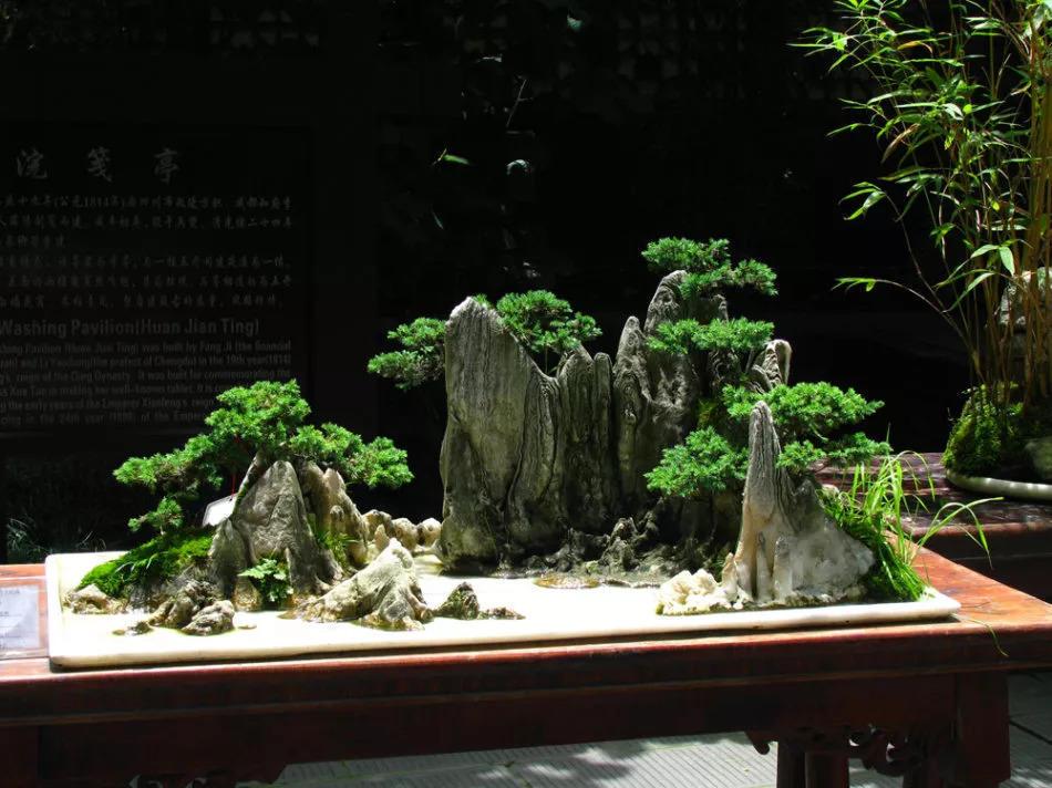 气势磅礴的中国山水盆景, 一盆看尽千里江山!