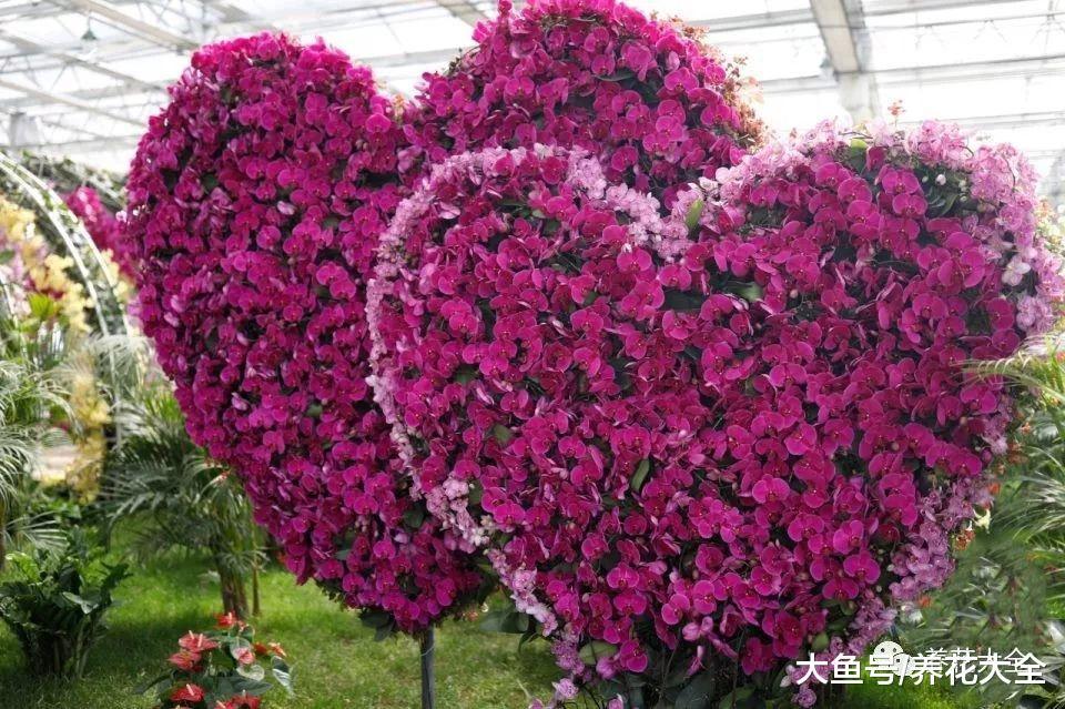 普通的花在他们手里, 变成了各种造型, 果然艺术是无价的!