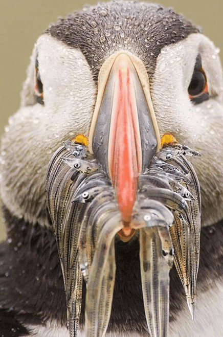 这一口收获不小呀 ​ ​​​​