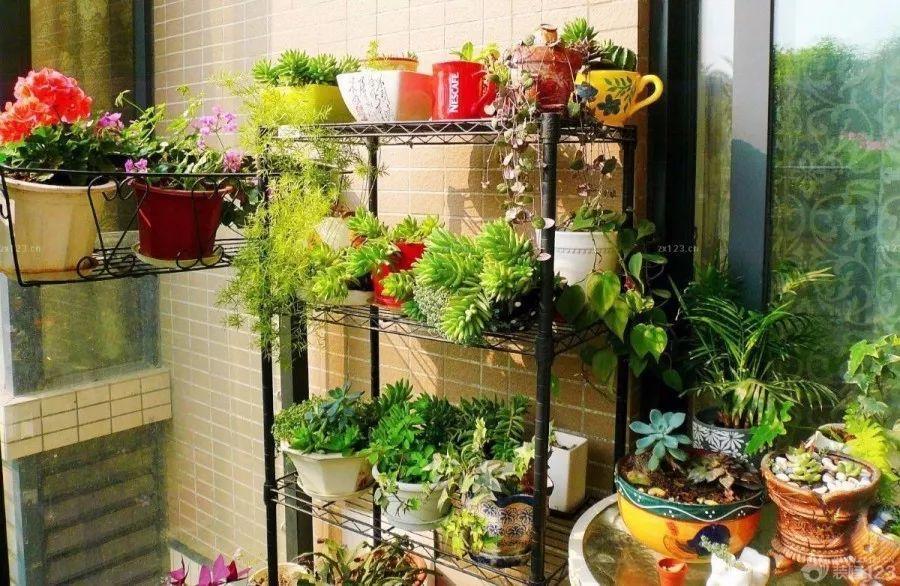 娶了爱养花的女人, 种花种菜样样行, 你就等着享福吧!