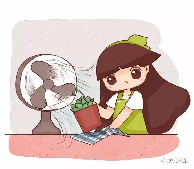 多肉盆底垫了它, 天再热也不怕死, 越养越爆盆!