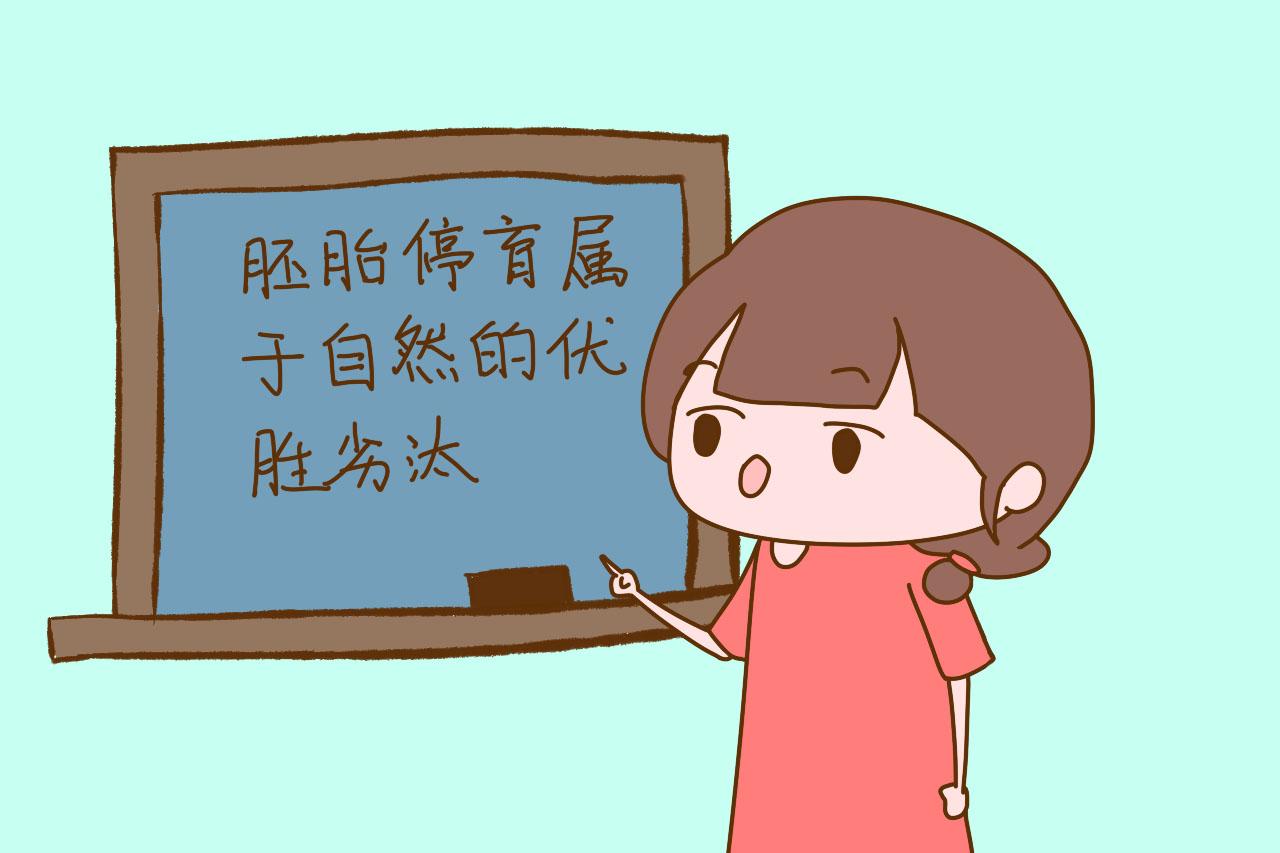 孕早期发生胎停, 孕妈别傻傻地伤心, 这是孩子和你的缘分未到