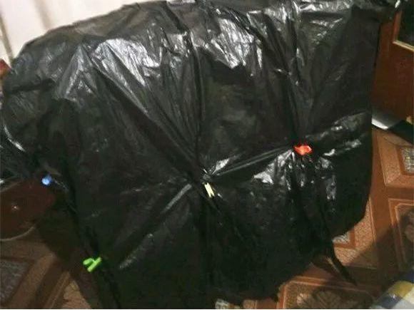 盆里撒点它, 长寿花照样开花, 啥肥料都不用!